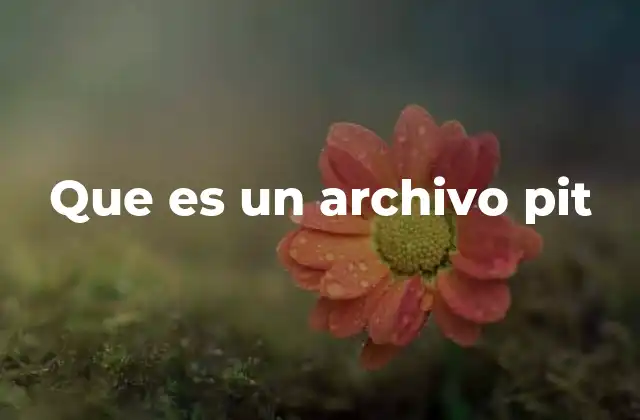 Que es un Archivo Pit
