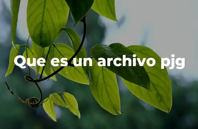 Que es un Archivo Pjg