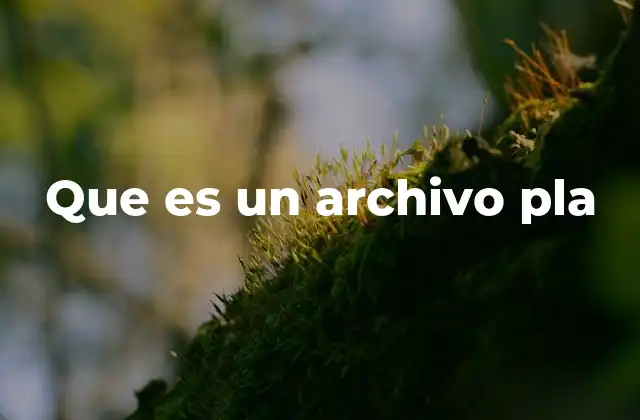 Que es un Archivo Pla