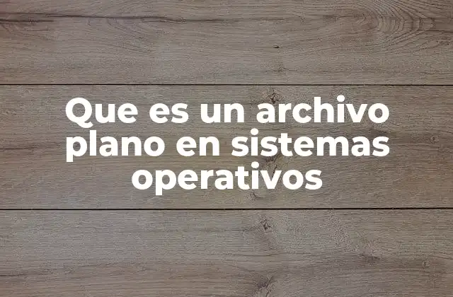 Características de los archivos planos en sistemas operativos