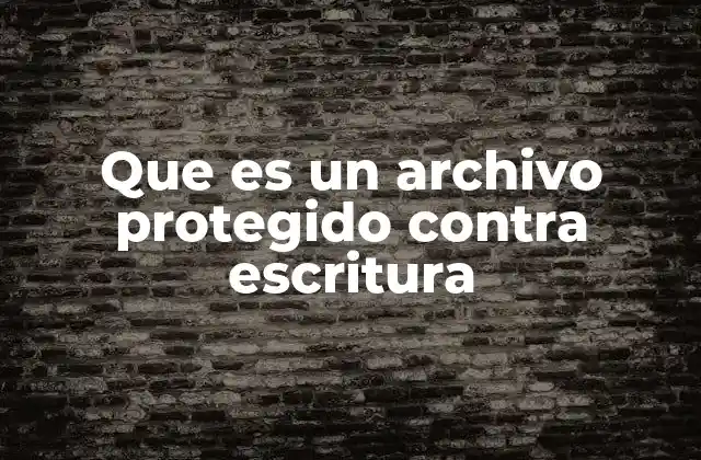 Que es un Archivo Protegido contra Escritura