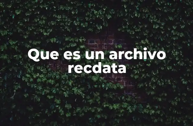 Tipos de sistemas que utilizan archivos recdata