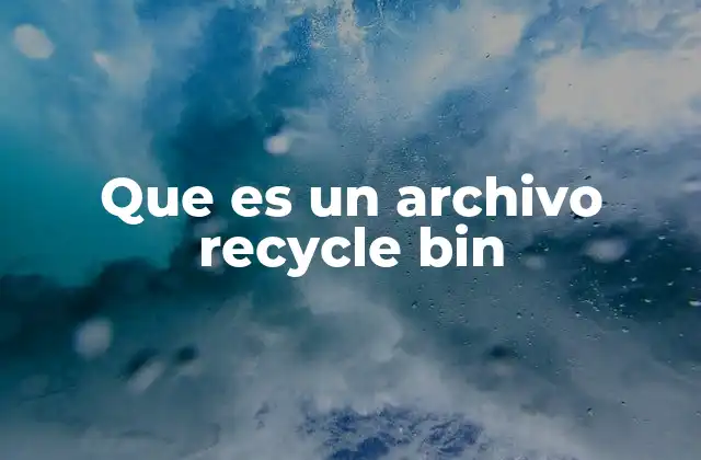 Que es un Archivo Recycle Bin