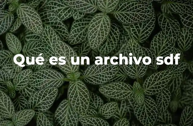 Qué es un Archivo Sdf