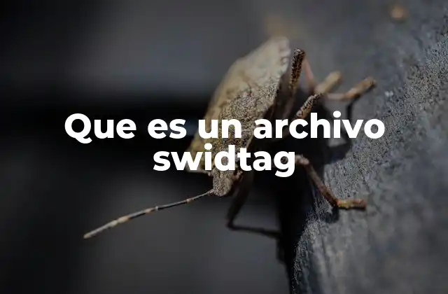 Que es un Archivo Swidtag