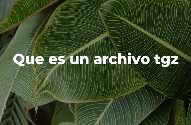 Que es un Archivo Tgz