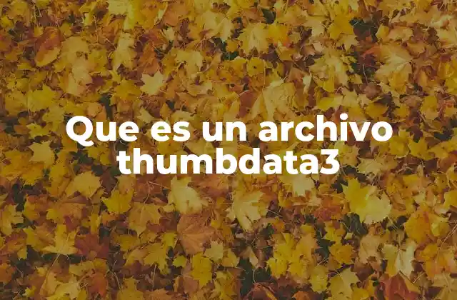 Cómo interactúan los archivos thumbdata3 con el sistema operativo