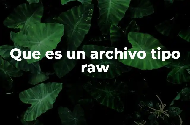 Que es un Archivo Tipo Raw