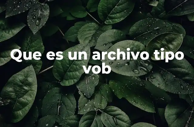 Que es un Archivo Tipo Vob