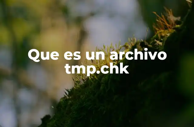 ¿Cómo se generan los archivos tmp.chk?