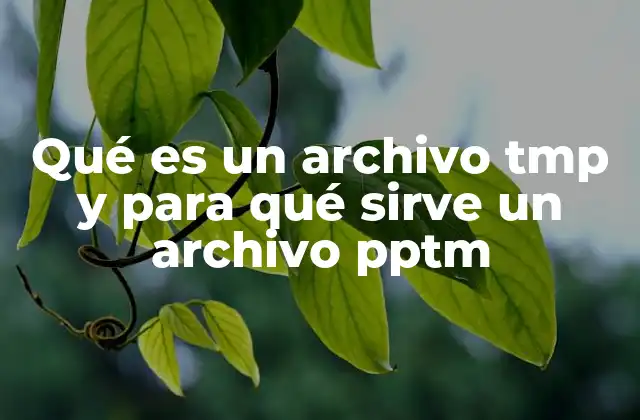 Qué es un Archivo Tmp y para Qué Sirve un Archivo Pptm