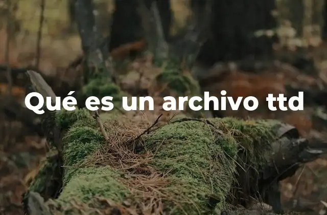 Qué es un Archivo Ttd