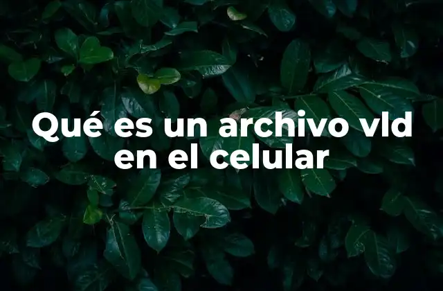 Qué es un Archivo Vld en el Celular