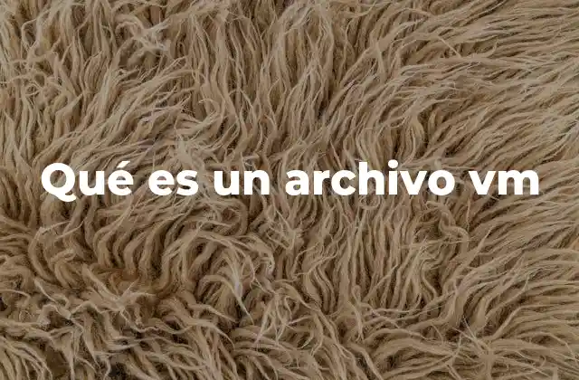 Qué es un Archivo Vm