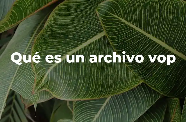 Qué es un Archivo Vop