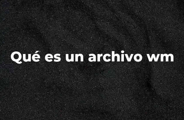 Qué es un Archivo Wm