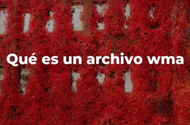 El formato WMA en el ecosistema de Microsoft