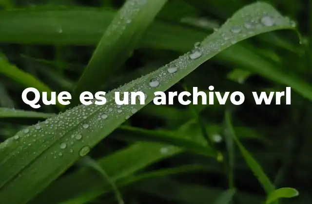 Que es un Archivo Wrl