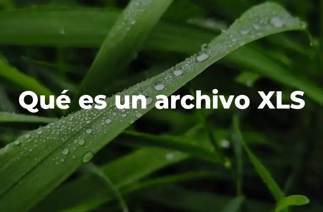 Qué es un Archivo Xls