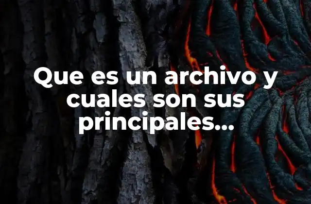 Que es un Archivo y Cuales Son Sus Principales Caracteristicas