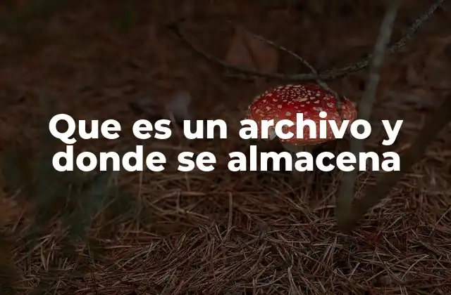 Que es un Archivo y Donde Se Almacena