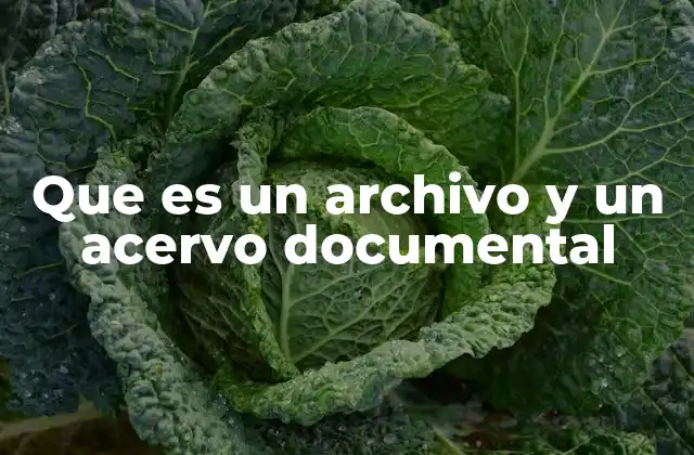 Que es un Archivo y un Acervo Documental