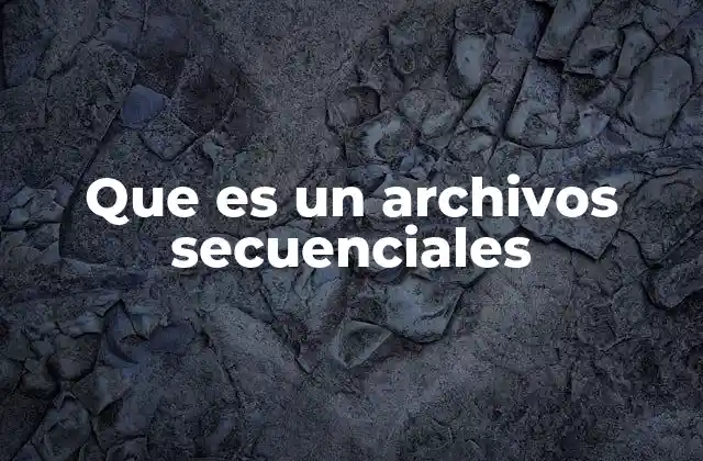 Que es un Archivos Secuenciales