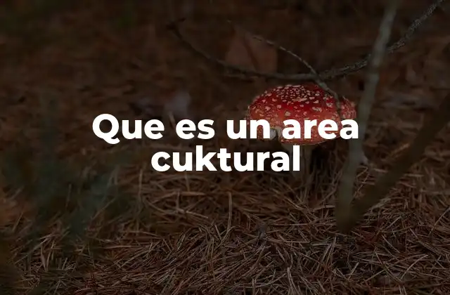 Que es un Area Cuktural