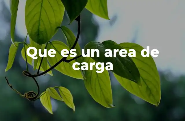 Que es un Area de Carga