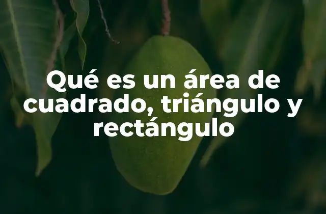 Qué es un Área de Cuadrado, Triángulo y Rectángulo