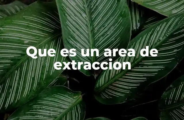 Que es un Area de Extraccion