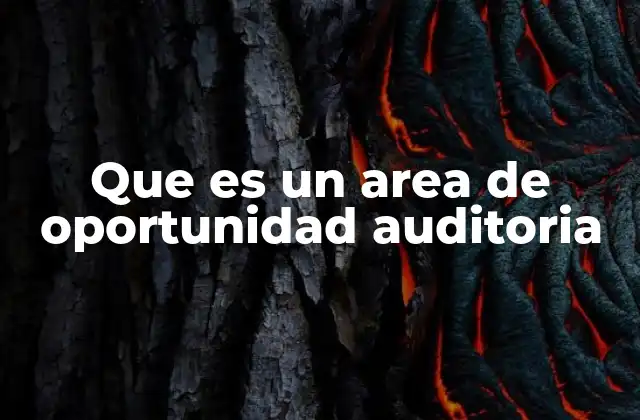 Que es un Area de Oportunidad Auditoria