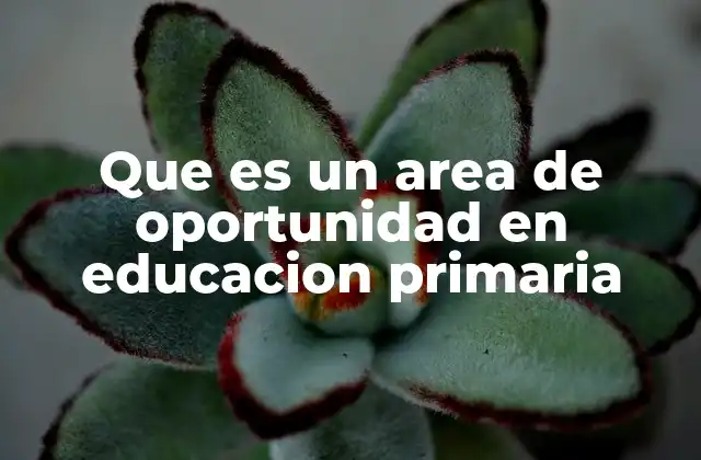 Que es un Area de Oportunidad en Educacion Primaria