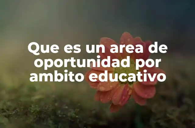 Que es un Area de Oportunidad por Ambito Educativo