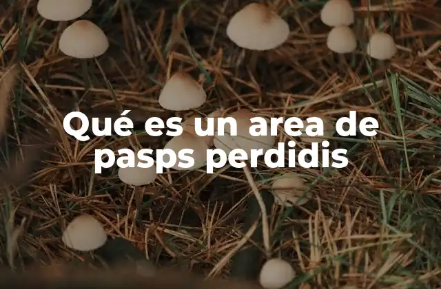 Qué es un Area de Pasps Perdidis
