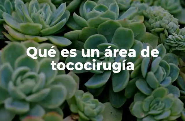 Qué es un Área de Tococirugía