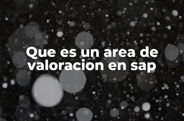 Que es un Area de Valoracion en Sap