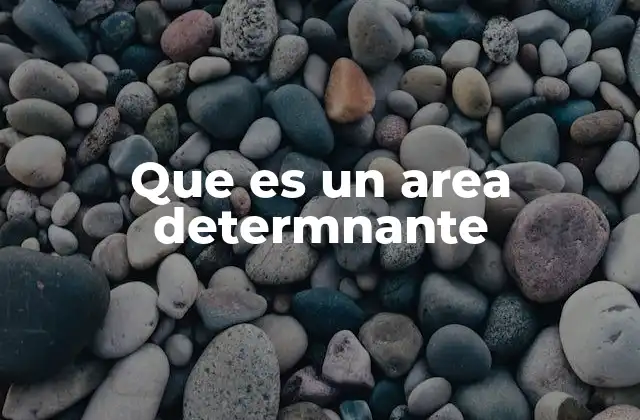 Que es un Area Determnante