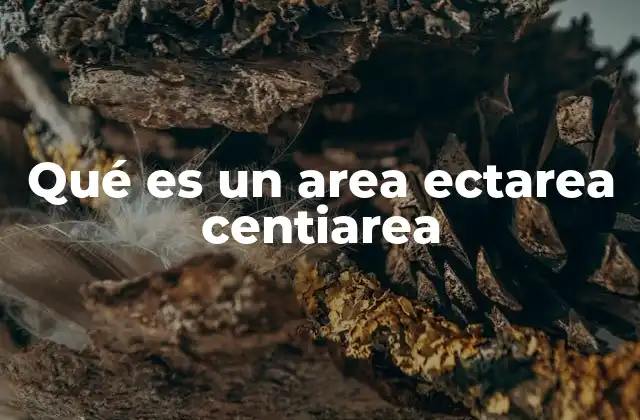 Qué es un Area Ectarea Centiarea