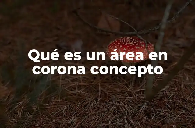 Qué es un Área en Corona Concepto