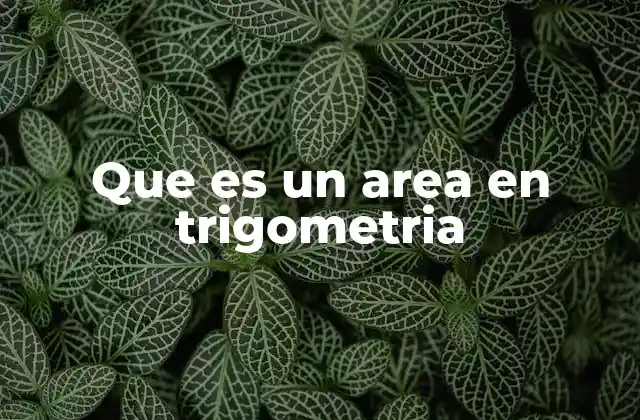 Que es un Area en Trigometria