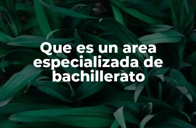 Que es un Area Especializada de Bachillerato