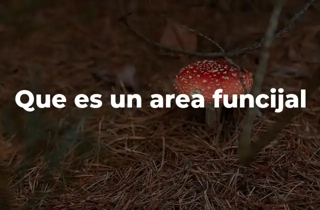 Que es un Area Funcijal