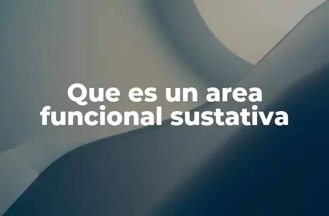 Que es un Area Funcional Sustativa