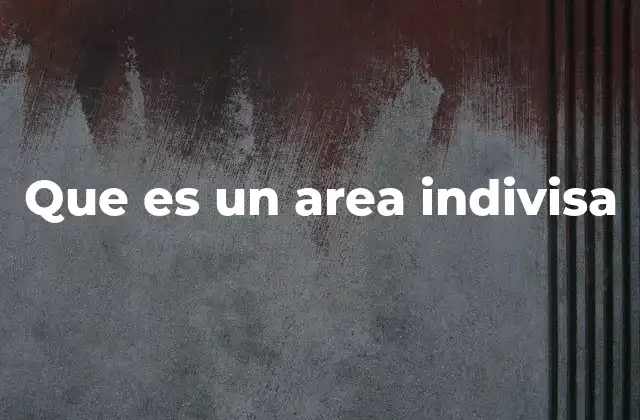 Que es un Area Indivisa