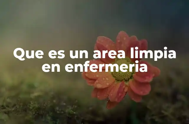 Que es un Area Limpia en Enfermeria