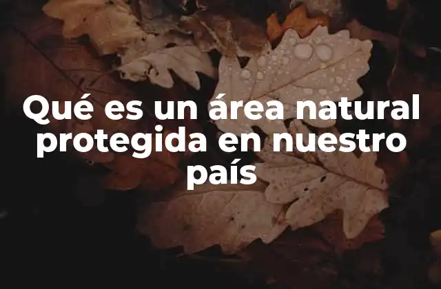 Qué es un Área Natural Protegida en Nuestro País