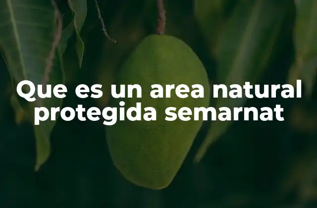 Que es un Area Natural Protegida Semarnat