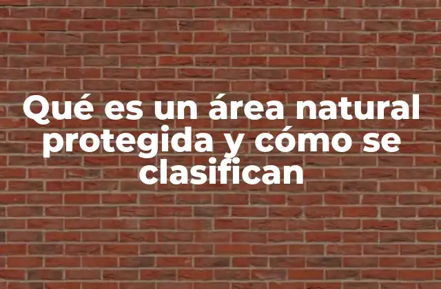 Qué es un Área Natural Protegida y Cómo Se Clasifican