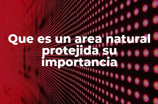 Que es un Area Natural Protejida Su Importancia 2 El papel de las áreas naturales protegidas en la conservación